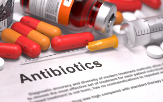 Antibiotics Do Not Impact Chemo-Immunotherapy Outcomes in NSCLC