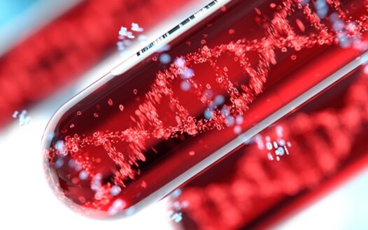 Genomic Heterogeneity in ctDNA During Therapy Affects Prognosis of mCRC